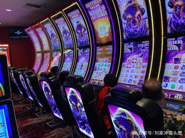 MG电子海凰传奇官网首页娱乐特色与页面内容解析